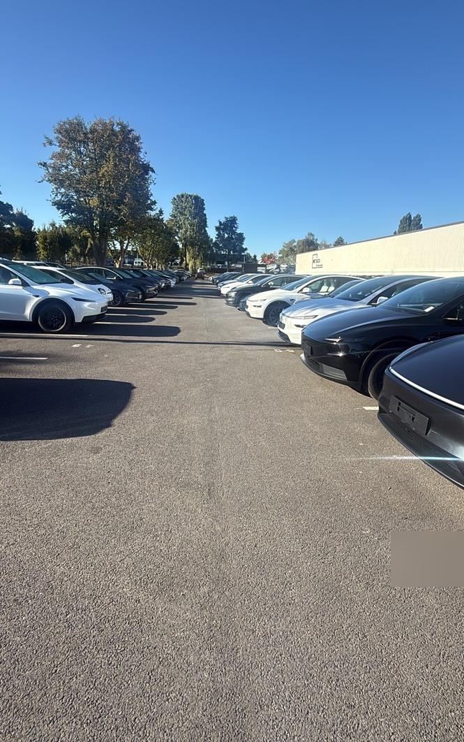 Rangées de Tesla neuves sur le parking d’un centre de livraison sous un ciel bleu